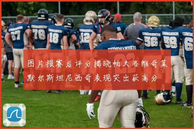 图片报赛后评分揭晓帕夫洛维奇莱默尔斯坦尼西奇表现突出获高分